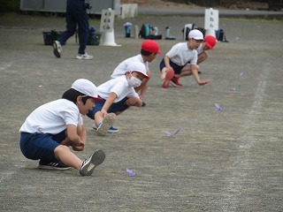 IMG_1495.jpg