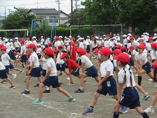 IMG_1496.jpg