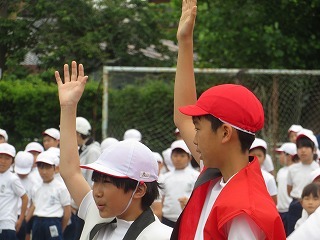 IMG_1501.jpg