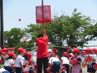 IMG_1591.jpg