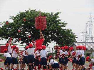 IMG_1643.jpg