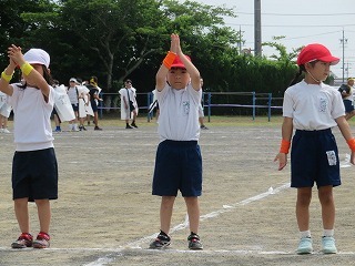 IMG_1667.jpg