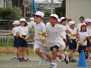 IMG_1752.jpg