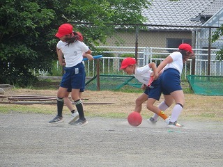 IMG_1761.jpg