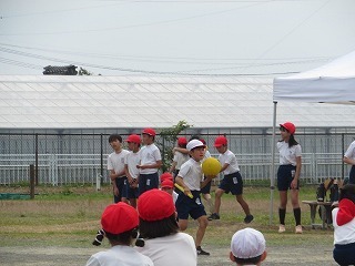 IMG_1762.jpg