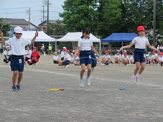 IMG_1772.jpg