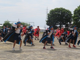 IMG_1677.jpg