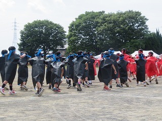 IMG_1694.jpg