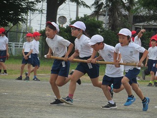 IMG_1781.jpg