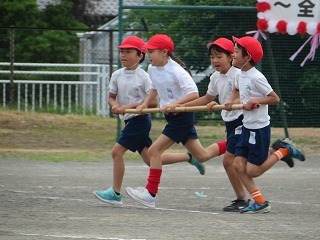 IMG_1782.jpg