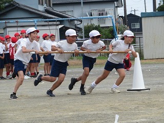 IMG_1784.jpg