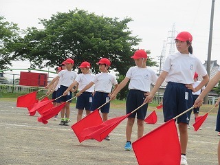 IMG_1708.jpg