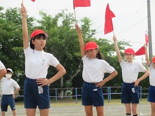 IMG_1714.jpg
