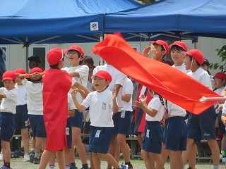 IMG_1810.jpg