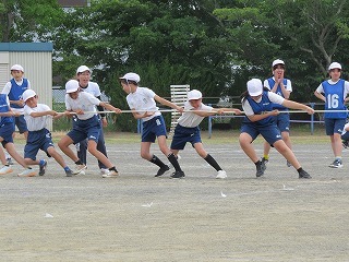 IMG_7377.jpg