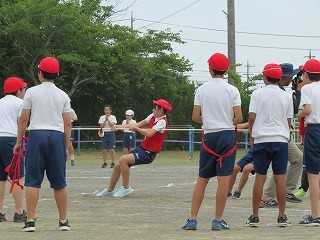 IMG_7383.jpg
