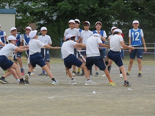 IMG_7388.jpg