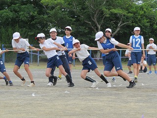IMG_7390.jpg