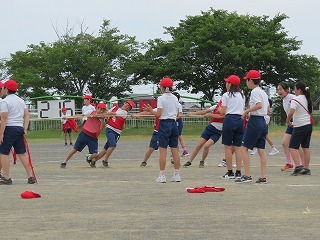 IMG_7394.jpg