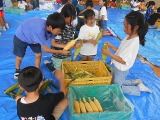 DSCN3530.jpg