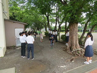 IMG_7573.jpg