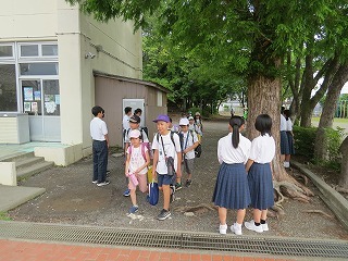 IMG_7576.jpg