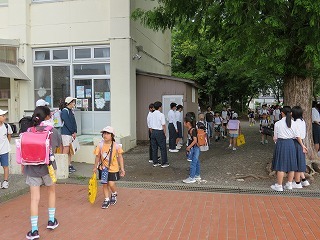 IMG_7584.jpg