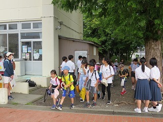 IMG_7585.jpg