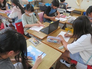 IMG_2168.jpg