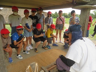 IMG_2046.jpg