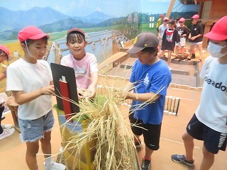 IMG_2068.jpg