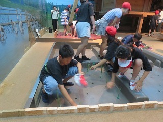 IMG_2071.jpg