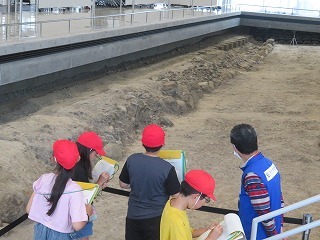 IMG_2145.jpg