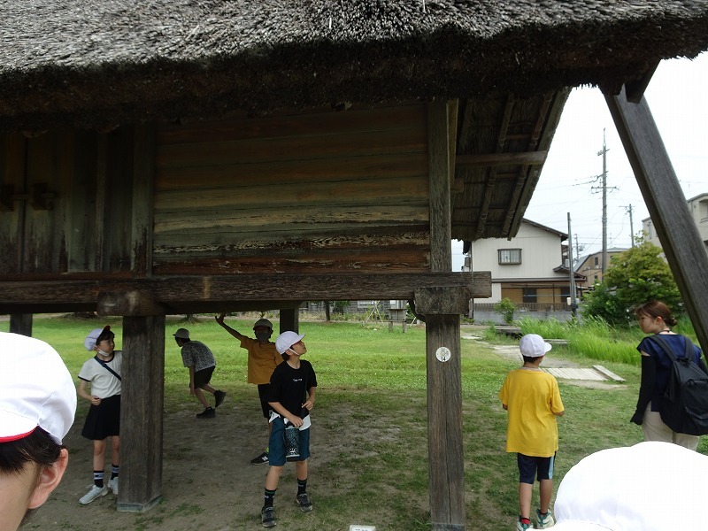 DSC07822.jpg