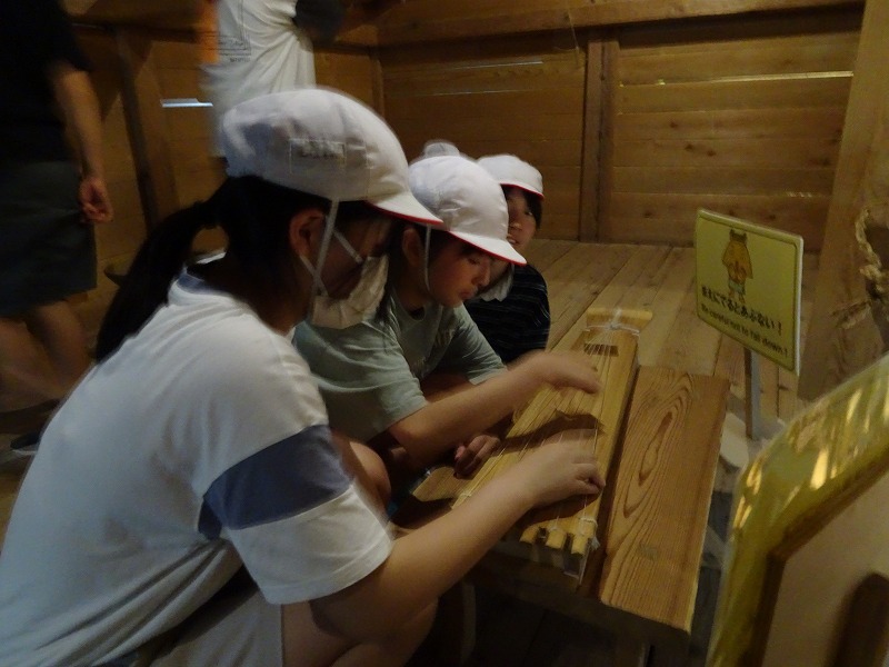 DSC07863.jpg