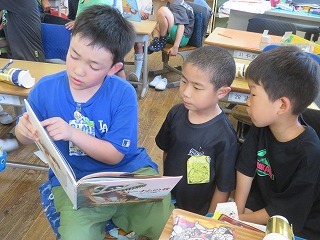 IMG_2226.jpg