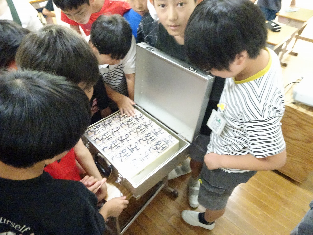 DSC07994.jpg