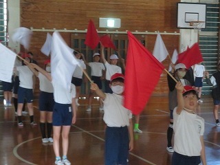 IMG_4695.jpg