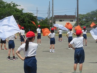 IMG_4727.jpg