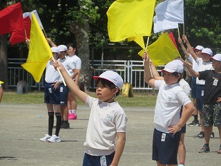 IMG_4733.jpg