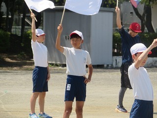 IMG_4743.jpg