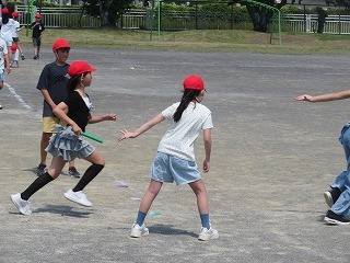 IMG_4782.jpg