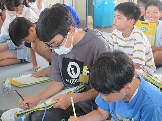 IMG_4841.jpg