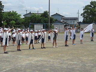 IMG_4917.jpg
