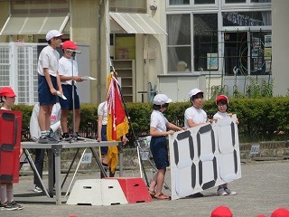 IMG_4938.jpg
