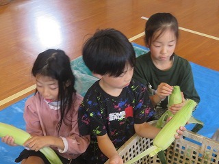 IMG_5487.jpg