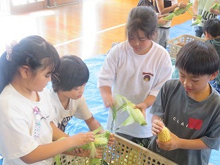 IMG_5488.jpg