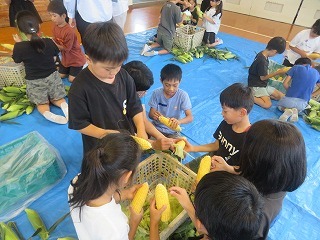 IMG_5496.jpg