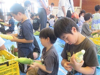 IMG_5504.jpg