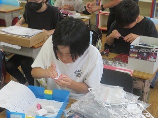 IMG_5616.jpg